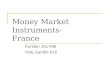 Money market instruments in france