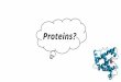 AS-U1-2.5 Proteins