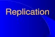 DNA Replication and Mutation