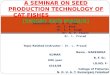 Seed production technology of catfishes
