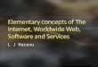 Elementary concepts of the internet, worldwide web,  software and