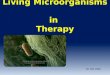 Living microorganisms in therapy