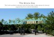 Bronz Zoo Slides