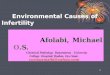 Environmental causes of infertility