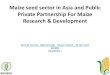 S8.2. Maize seed sector in Asia and Public Private Partnership For Maize Research & Development