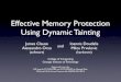 Effective Memory Protection Using Dynamic Tainting (ASE 2007)