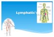 Blood and lymph in minutes
