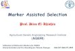 Marker assisted selection