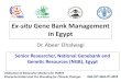 Ex-situ Gene Bank Management in Egypt