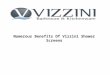 Numerous Benefits Of Vizzini Shower Screens