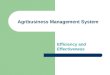 How, When and where agribusiness marketing management effective and efficient?