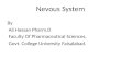Nervous System and Types of Nerves ppt