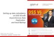 Setting up Data Redundancy on DSS V6 Within a System