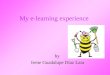My E Learning Experience