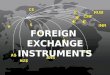 Foreign Exchange Instruments