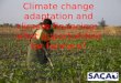 Climate change adaptation and climate financing: