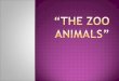 The zoo animals