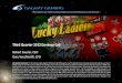 Galaxy Gaming (GLXZ) 2012 Q3 Financial Review