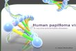 2014 ACOG guidelines on human papilloma virus vaccination
