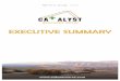 Catalyst Resource Group (OTCBB: CATA) executive-summary