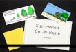 Succession cut n paste directions