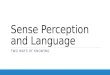 Sense perception and language