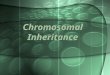 Chromosomalinheritance 100807040928-phpapp02