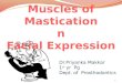 46959379 muscles-of-mastication-2010-newer-vwersion