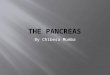The Pancreas- By Chibesa Mumba