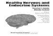 Healthy Nervous and Endocrine Systems