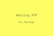 ATP Review 2011