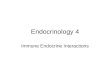 Endocrinology 4 Immune Endocrine Interactions