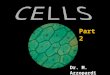 Cells  [part 2]