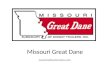 Missouri Great Dane