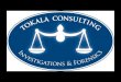 Tokala Consulting Power Point Business Presentation 2010