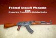 Federal Assault Weapons Ban