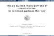 Image-guided management of uncertainties in scanned particle therapy