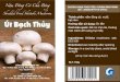 Ut Bach Thuy - Product Label