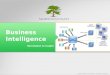 Allied Consultants - Business Intelligence Services
