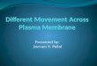 Different movement across plasma membrane