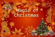 Magic Of Christmas
