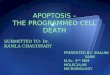 apoptosis programmed cell death in E.coli