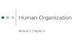 Human organization lecture