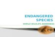 endangered animals and why?