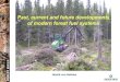 Past, current and future developments of modern forest fuel systems