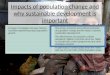 L3 impacts of popn change & sustainability