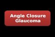 Angle closure-glaucoma-1259716832-phpapp01