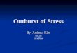 Andrew kim's research power point  outburst of stress