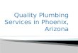 Quality plumbing services in phoenix, arizona 225 224 2999