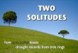 Two solitudes - how seasonality biases drought from tree rings